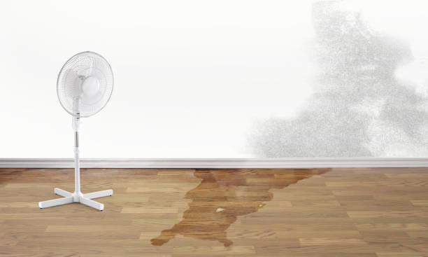  Mahanoy City, PA Water damage restoration Pros