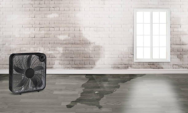 Best 24-hour water damage restoration  in Mahanoy City, PA