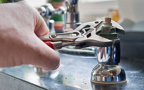 Best Mold removal after water damage  in Mahanoy City, PA