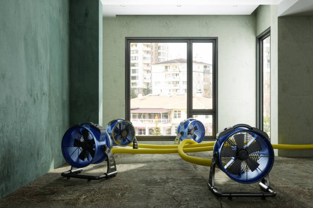 Best Flood damage cleanup  in Mahanoy City, PA